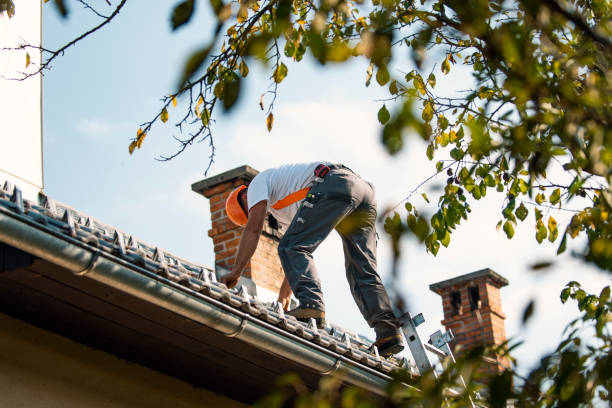 Fast & Reliable Emergency Roof Repairs in Pearland, TX